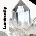 Luminosity Tools Workbook & Coaching