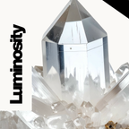 Luminosity Tools Workbook & Coaching