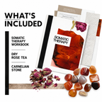 Embodiment Tools Workbook & Coaching