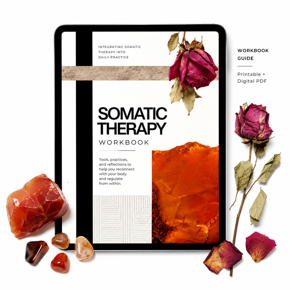 Embodiment Tools Workbook & Coaching