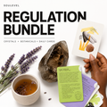 Regulation Tools Workbook & Coaching