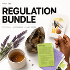 Regulation Tools Workbook & Coaching
