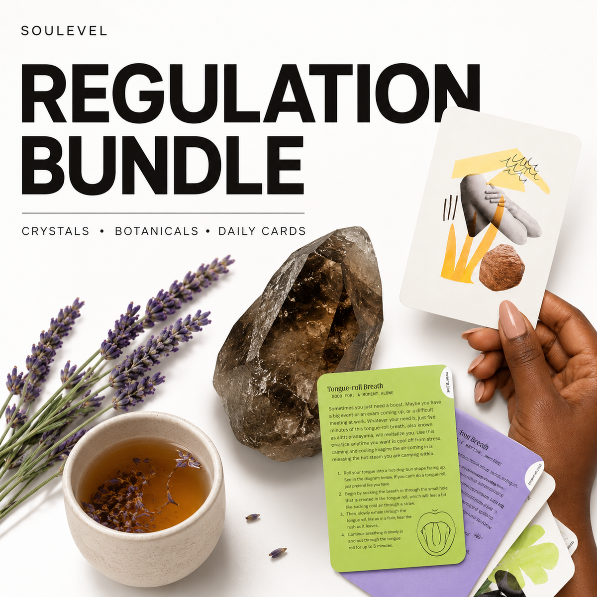 Regulation Tools Workbook & Coaching