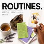 Regulation Tools Workbook & Coaching